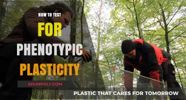 Phenotypic Plasticity Testing: Methods and Applications