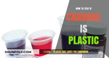 Testing Cabbage: Plastic or Not?
