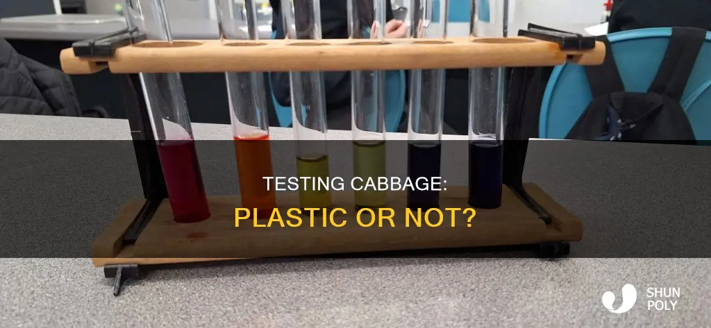 how to test if cabbage is plastic