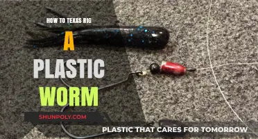 Texas Rigging Plastic Worms: The Ultimate Guide