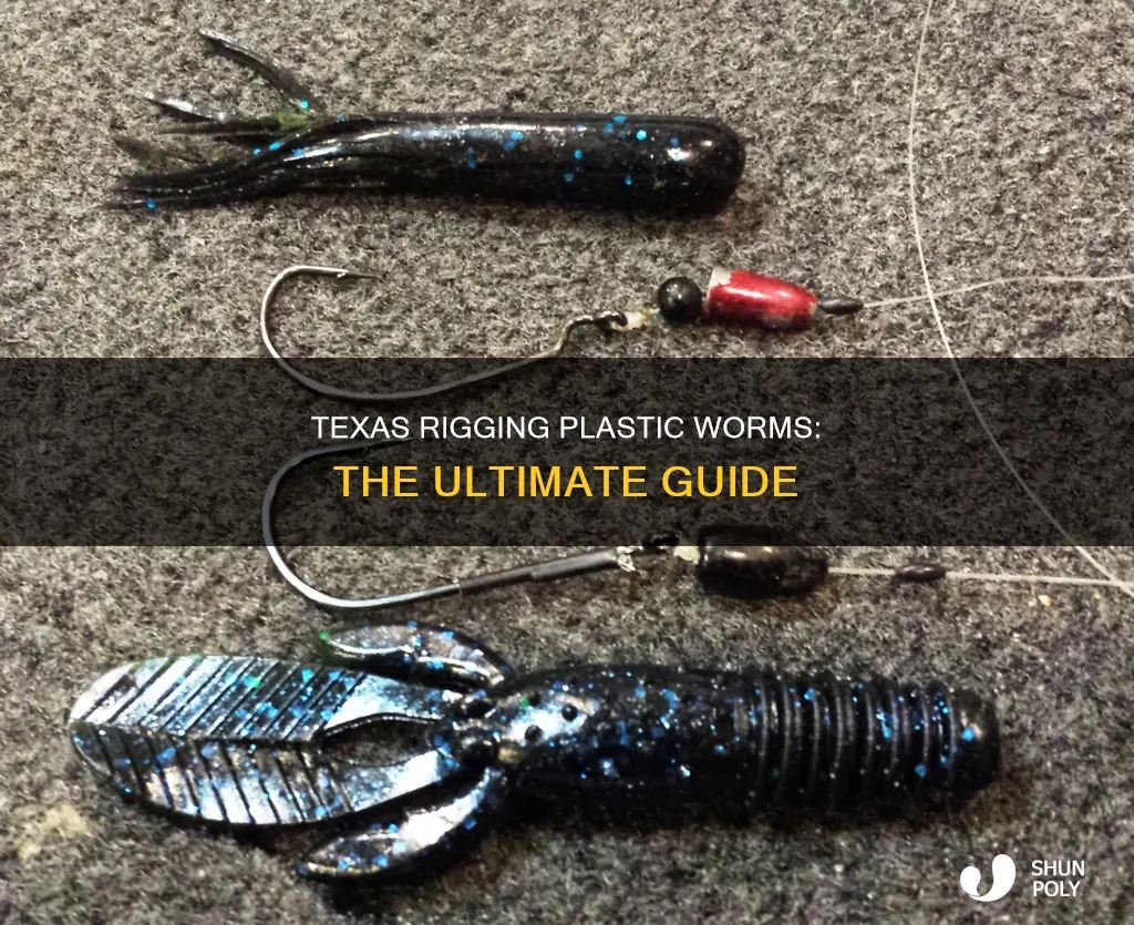 how to texas rig a plastic worm