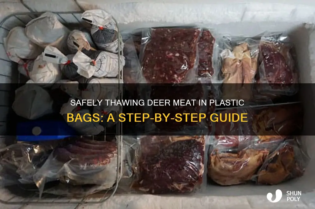 how to thaw deer meat in plastic bag