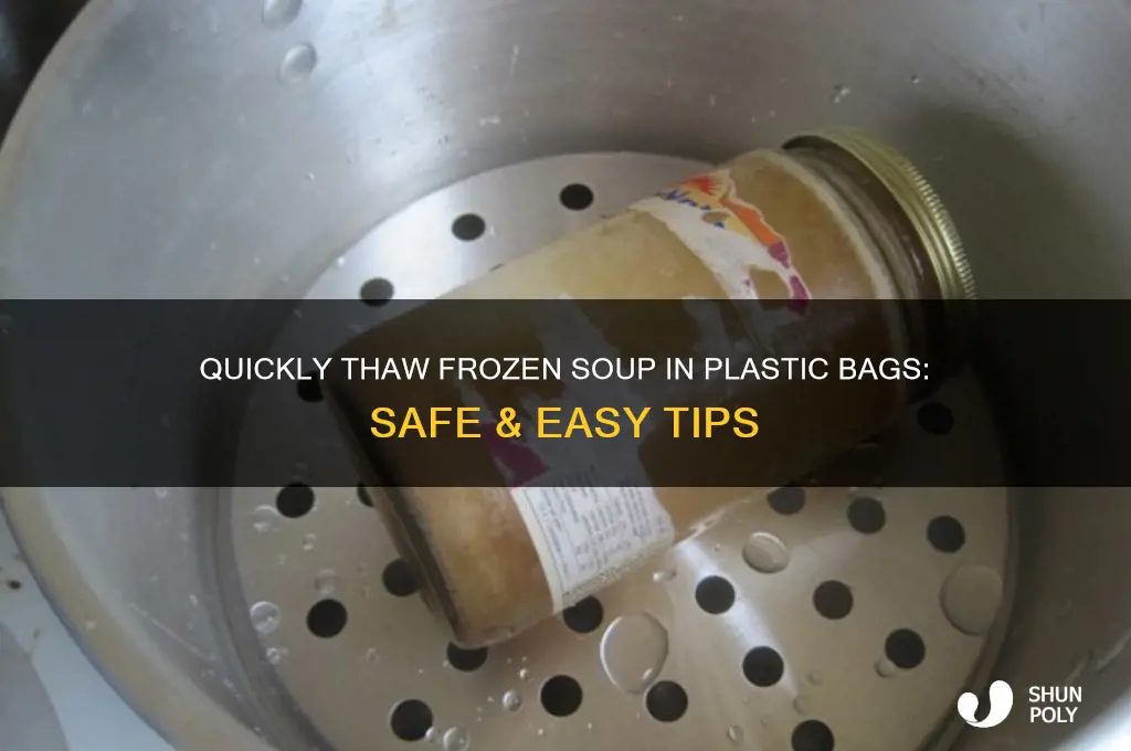 how to thaw frozen soup in plastic bag