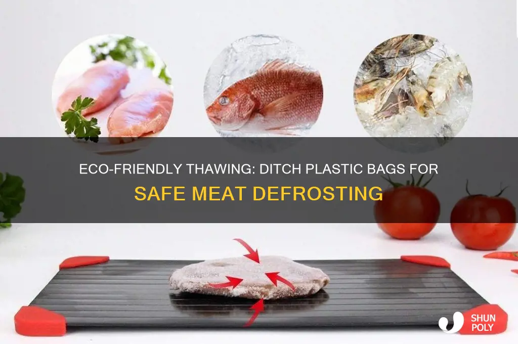 how to thaw meat without wasting plastic bags