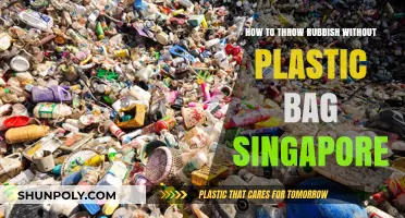 Eco-Friendly Waste Disposal: Singapore's Guide to Plastic-Free Rubbish Throwing