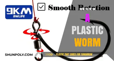 The Best Ways to Rig a Plastic Worm