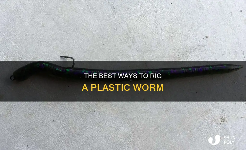 how to tie on a plastic worm