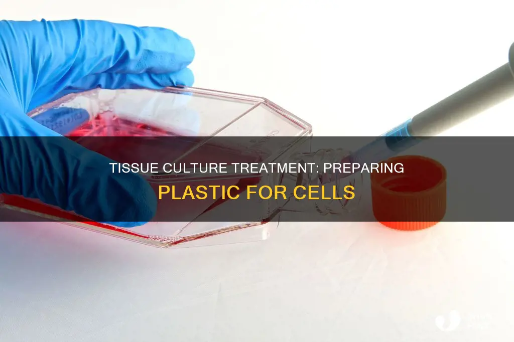 how to tissue culture treat plastic