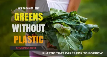 Eco-Friendly Tips: Sourcing Leafy Greens Without Plastic Packaging