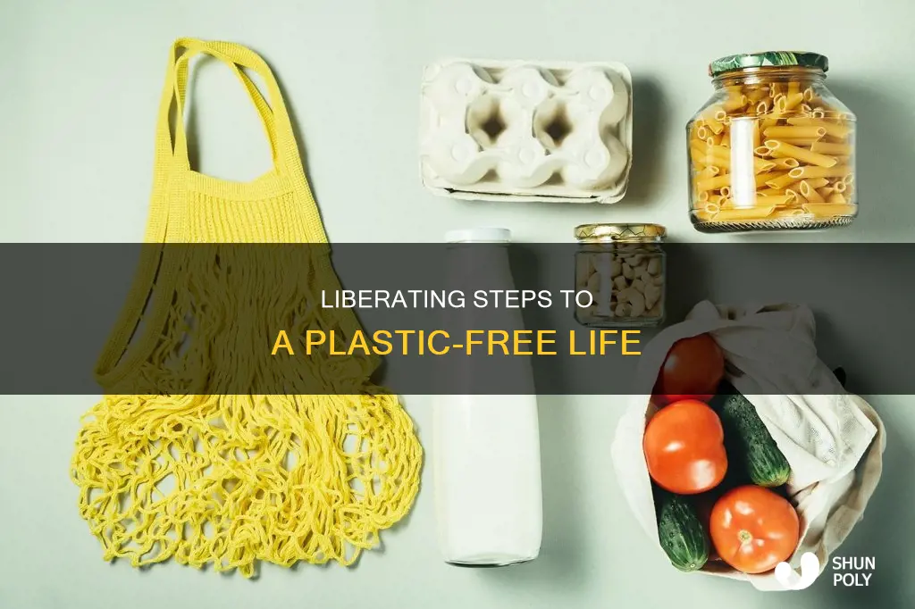 how to transition to plastic free