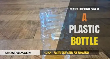 Easy DIY Plastic Bottle Trap to Catch Fruit Flies Fast