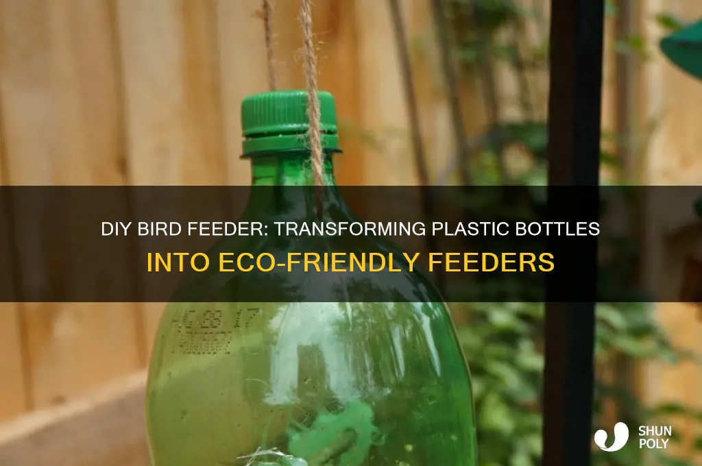 how to turn a plastic bottle into a bird feeder