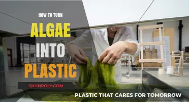 Algae-Based Plastics: The Eco-Friendly Future of Manufacturing