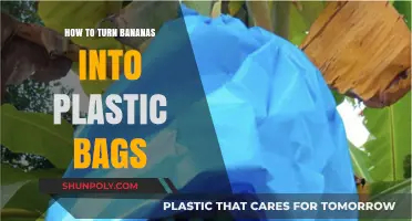 Eco-Friendly Innovation: Transforming Bananas into Sustainable Plastic Bags