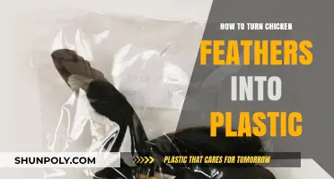 Transforming Chicken Feathers: The Eco-Friendly Plastic Revolution