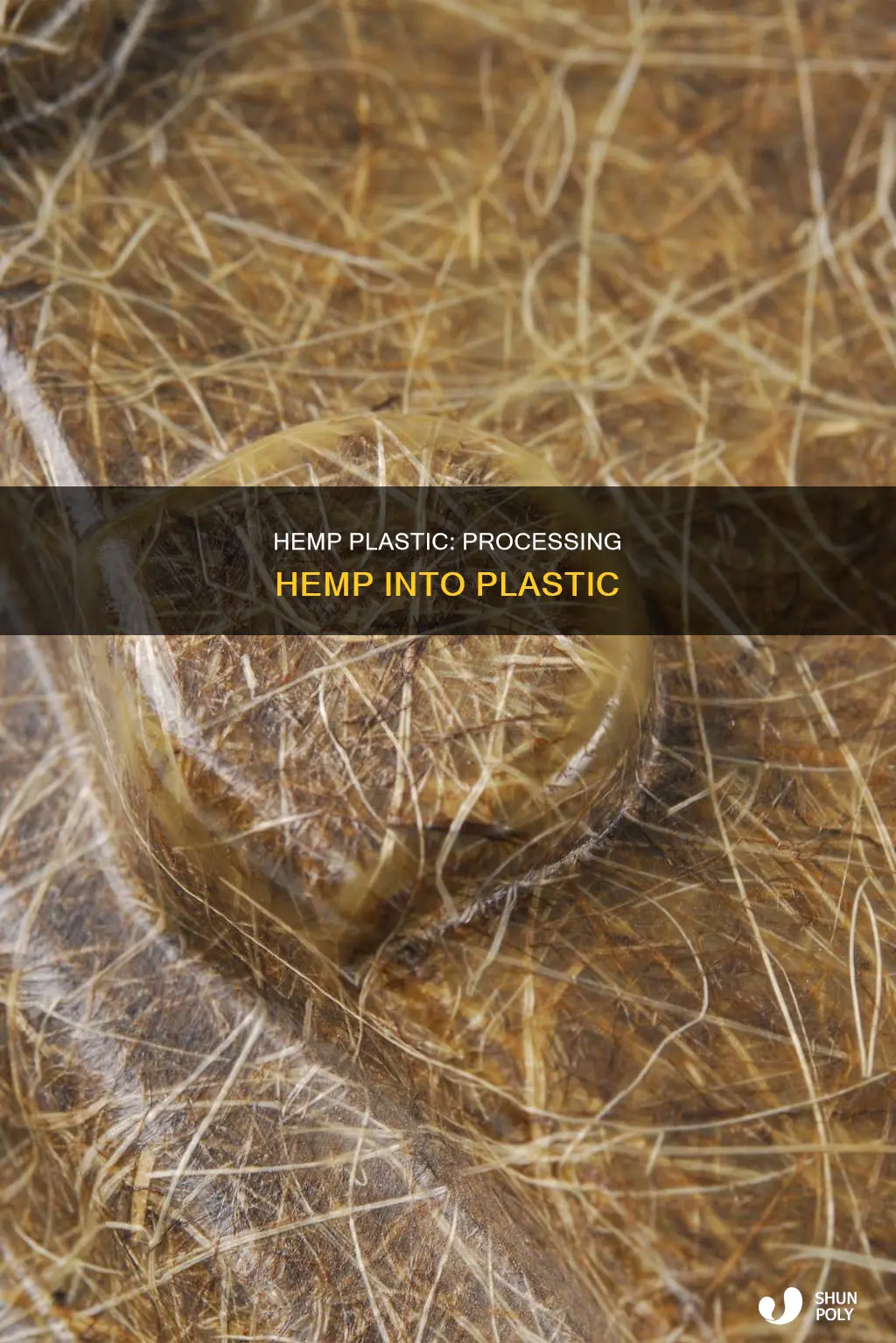 how to turn hemp into plastic