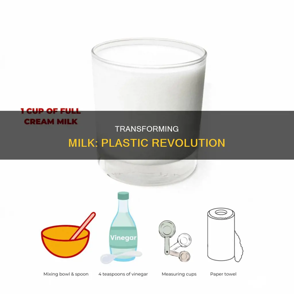 how to turn milk into plastic conclusion