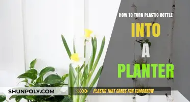 Eco-Friendly Gardening: Transforming Plastic Bottles into Creative Planters