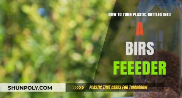 Creative DIY: Transform Plastic Bottles into a Bird Feeder