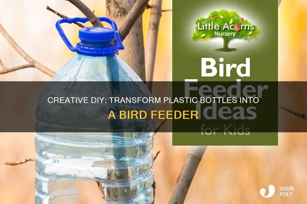 how to turn plastic bottles into a birs feeeder