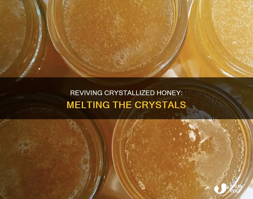 how to un crystallized honey in plastic