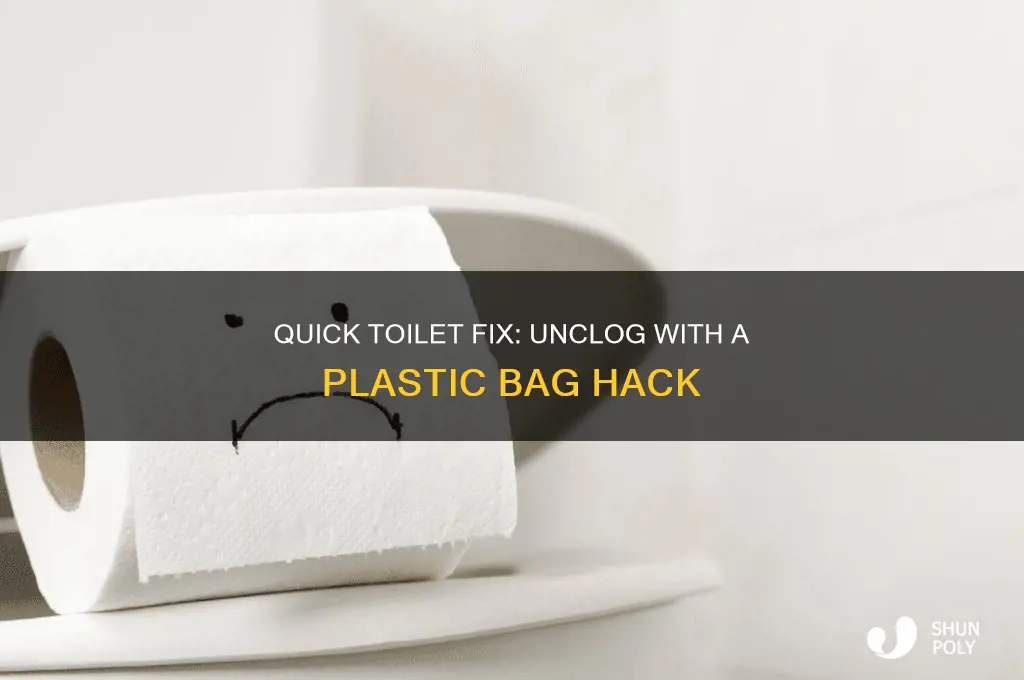 how to unclog a toilet with a plastic bag