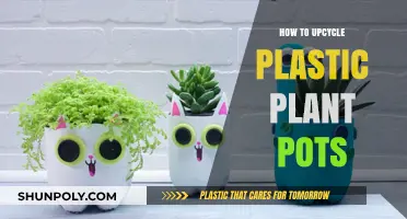 Revamp Plastic Plant Pots: Creative Upcycling Ideas