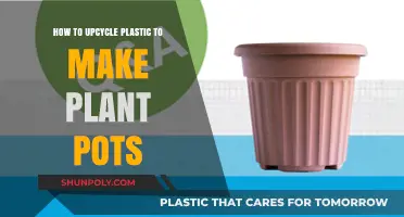 Creative Upcycling: Transforming Plastic Waste into Eco-Friendly Plant Pots