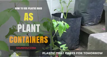 Creative Gardening: Repurposing Plastic Bags as Plant Containers