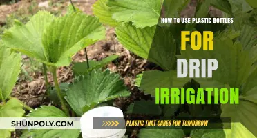 DIY Drip Irrigation: Reusing Plastic Bottles for Efficient Garden Watering