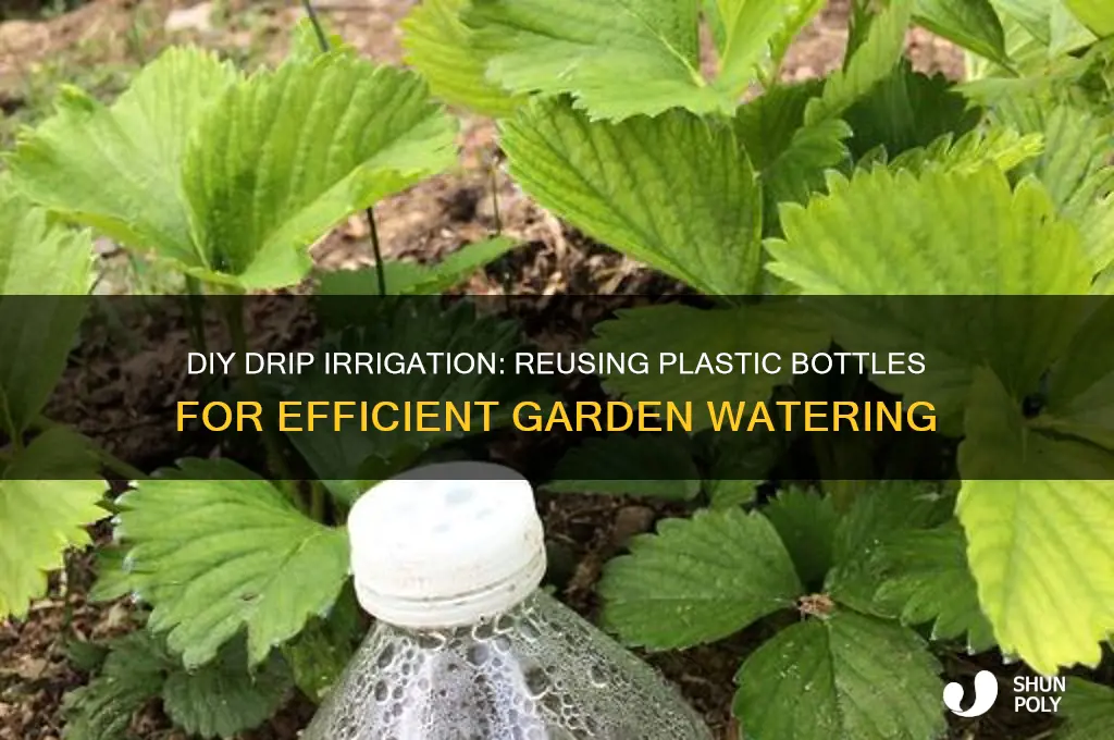 how to use plastic bottles for drip irrigation