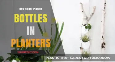 Creative Ways to Repurpose Plastic Bottles as Planters for Greener Spaces