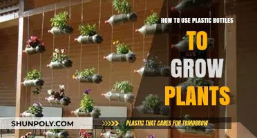 Creative Gardening: Reusing Plastic Bottles for Plant Growth Tips