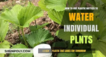 Eco-Friendly Gardening: Watering Plants with Recycled Plastic Bottles