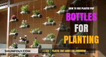 Creative Gardening: Reusing Plastic Pop Bottles for Eco-Friendly Planting