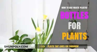 Creative Ways to Repurpose Plastic Bottles for Gardening and Plants