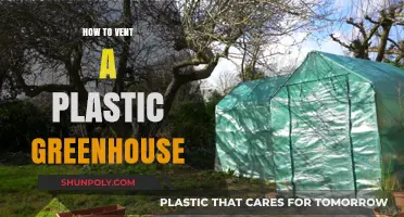 Venting a Plastic Greenhouse: Effective Strategies