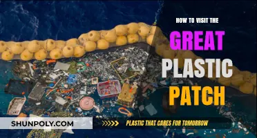 Exploring the Great Pacific Garbage Patch: A Guide