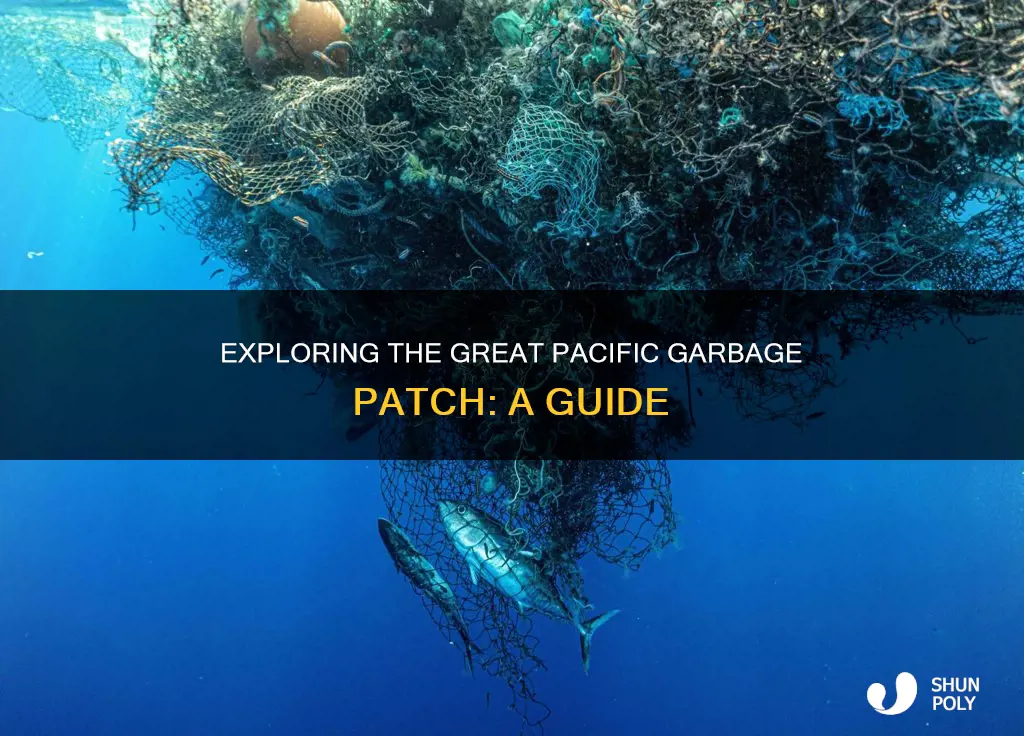 how to visit the great plastic patch