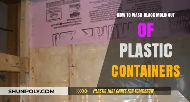 Eradicating Black Mold from Plastic Containers