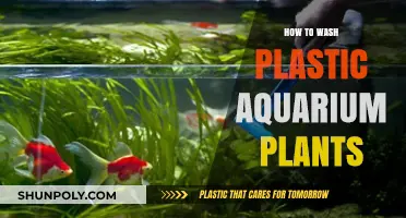 Cleaning Plastic Aquarium Plants: A Step-by-Step Guide