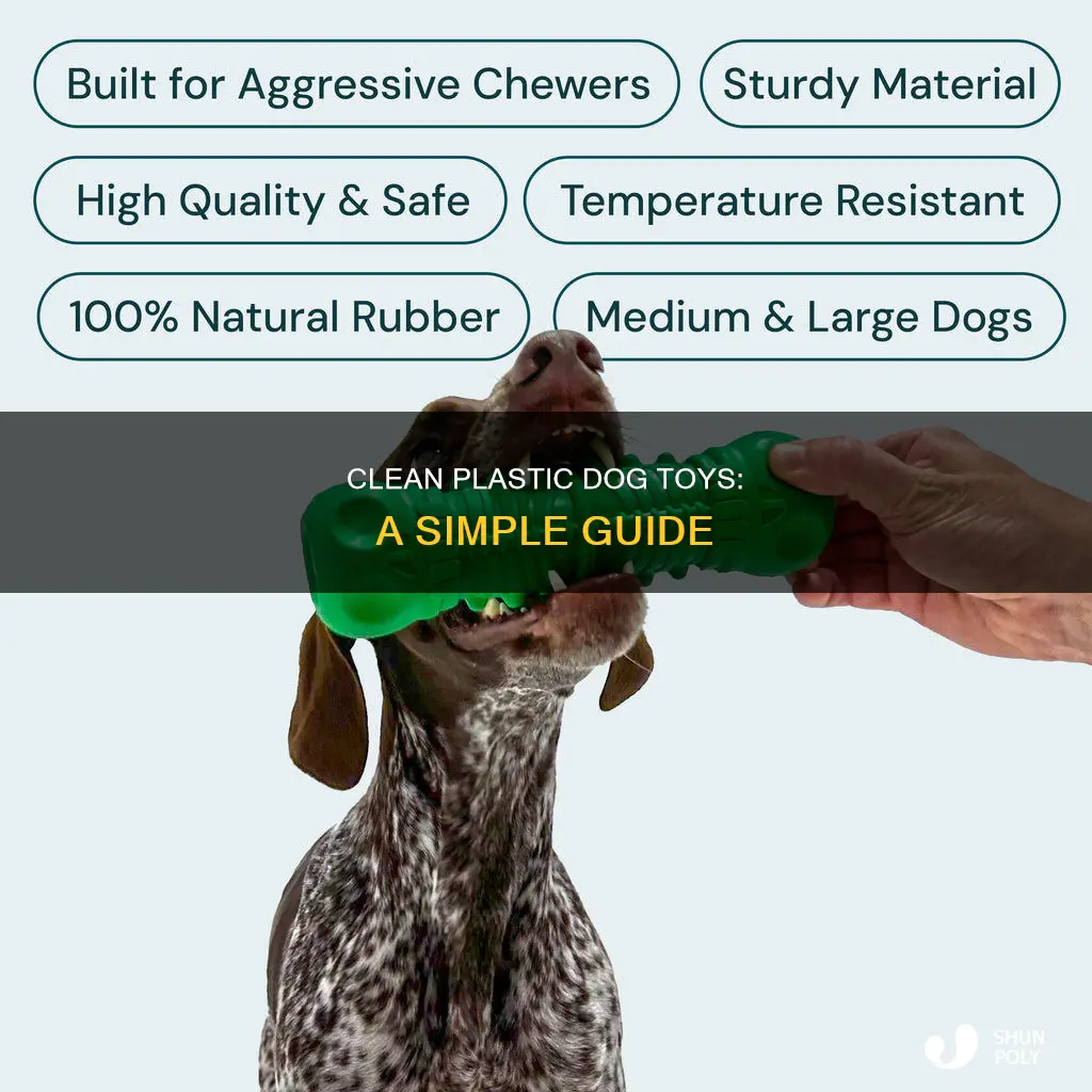 how to wash plastic dog toys