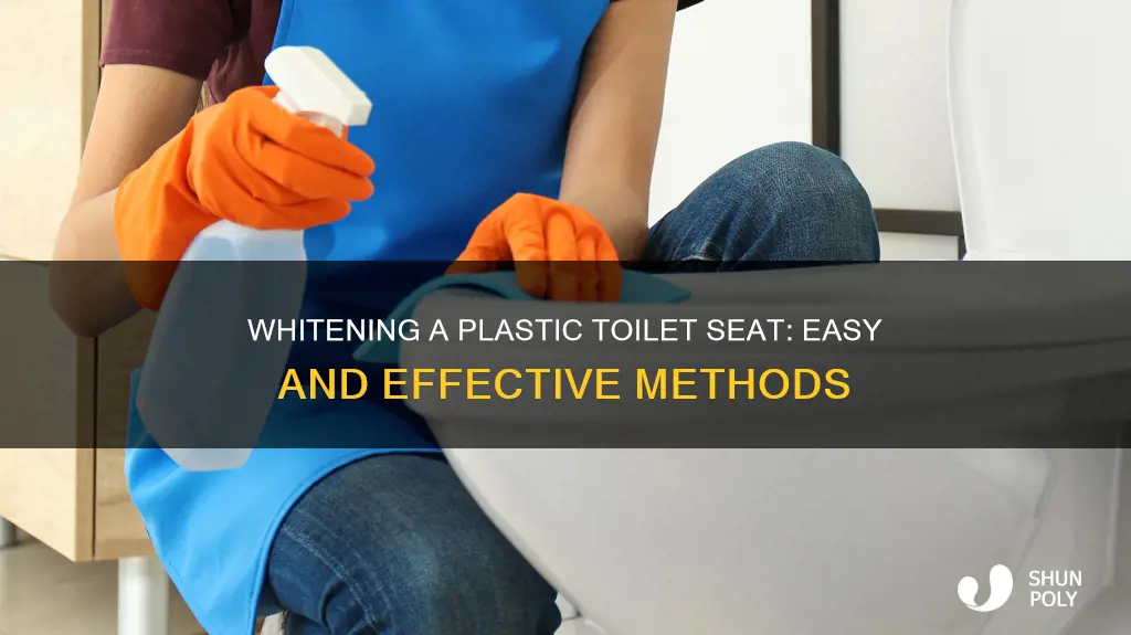 how to whiten a plastic toilet seat