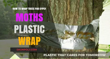 Effective Gypsy Moth Control: Tree Wrapping Techniques with Plastic