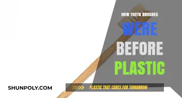 Toothbrushes Before Plastic: Natural Bristles and Bones