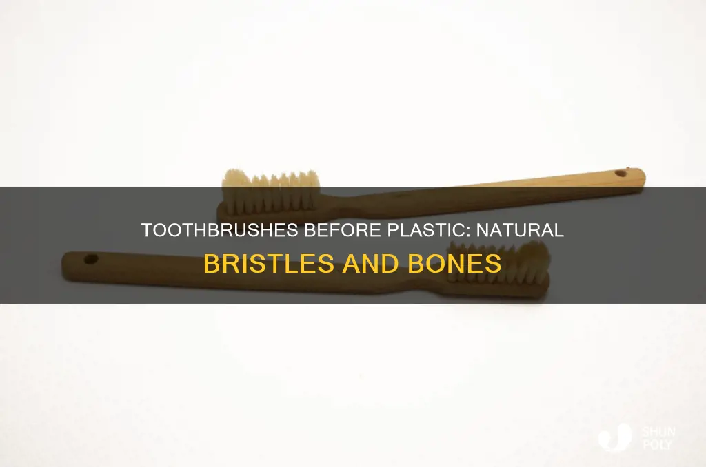 how tooth brushes were before plastic