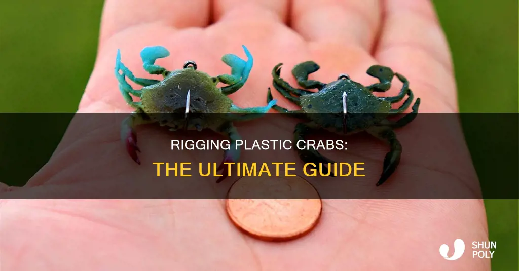 how top rig a plastic crab
