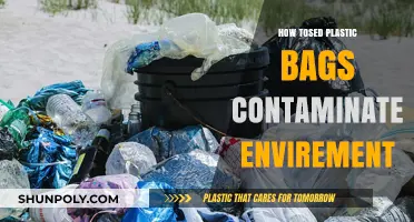 How Mismanaged Plastic Bags Contaminate Our Environment: A Critical Guide