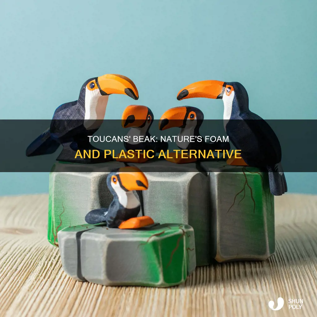 how toucans beak foam and plastic