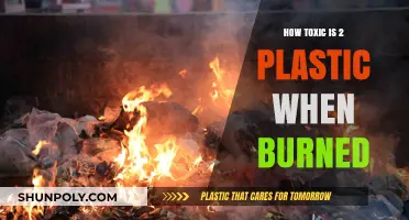 Toxic Fumes: Burning #2 Plastic and its Hazards